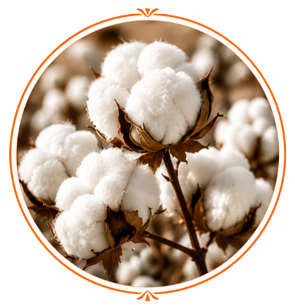 Cotton